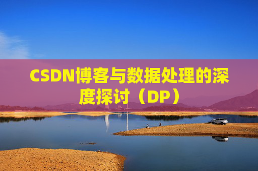 CSDN博客与数据处理的深度探讨（DP）